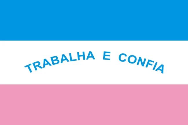 Consulta NF ES: Diretrizes e informações importantes