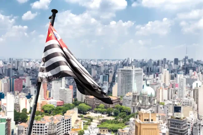 Consulta NFe Sefaz São Paulo: Guia específico para consultas no SP