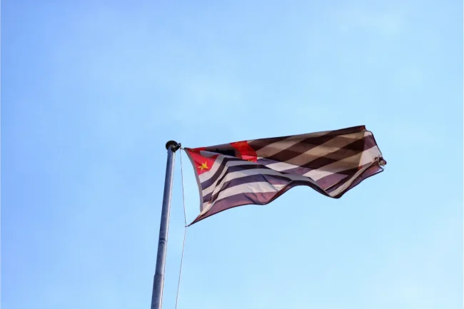 Consulta Danfe Sefaz SP: Como fazer e o que esperar