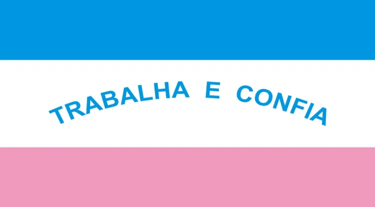 Consulta NF ES: Diretrizes e informações importantes