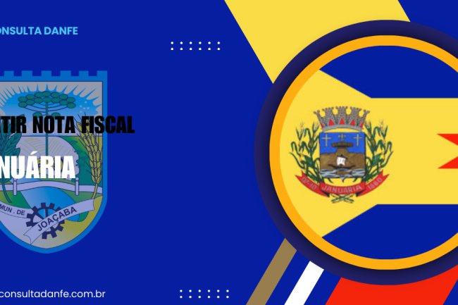 Emitir nota fiscal Januária: Como fazer a emissão corretamente